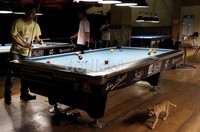 Mereka dibagi dalam Grade A dan Grade B.