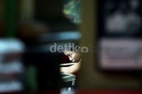 Untuk SEA Games nanti,  PB POBSI (Persatuan Olahraga Bilyar Seluruh  Indonesia), membutuhkan sembilan orang pemain inti.