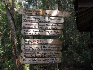 Penting! 6 Hal yang Tak Boleh Dilakukan di Tanjung Puting