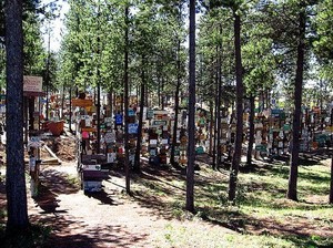 Cuma di Kanada, Ada Hutan Penuh Papan Petunjuk Jalan