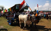 Saat ini keberadaan gerobak sapi sudah jarang digunakan untuk transportasi jarak jauh, namun hanya digunakan untuk jarak dekat terutama untuk mengangkut hasil pertanian di sawah atau ladangan.