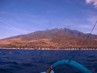 Perairan di sekitar Pasir Pantai Putih Situbondo masih bersih, tanpa ada sampah. Ini membuat kehidupan bawah laut di sekitarnya menjadi sehat. Kalau mau sewa kapal dan berlayar di sekitar pantainya, siapkan kocek Rp 75 ribu sampai Rp 100 ribu (Rivki/detikTravel)