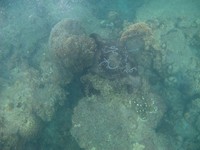 Bagi Anda yang mau snorkeling di sana, ada satu hal penting. Perhatikan kepala Anda, sebab kapal layar di sana bisa memutar dan pindah haluan tiba-tiba untuk menyeimbangkan dengan hembusan angin (Rivki/detikTravel)