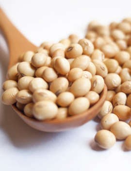 Mana yang Lebih Berprotein? Kacang Kedelai atau Ikan Teri