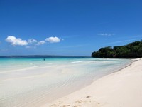 Meski sebenarnya ini adalah pantai ramai, namun tepian pantainya sangat bersih. Tidak ditemui sampah plastik atau makanan, hanya ada daun gugur dan cangkang kerang kosong saja (Shafa/detikTravel)