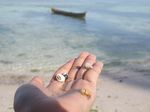 Mengintip Kerajaan Keong di Pantai Perawan Buton