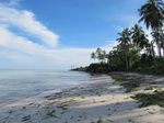 Mengintip Kerajaan Keong di Pantai Perawan Buton
