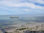 Mengintip Kerajaan Keong di Pantai Perawan Buton