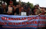 Danau Toba Dirusak, Kalpataru Dikembalikan