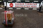 Danau Toba Dirusak, Kalpataru Dikembalikan
