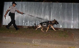 Agar Lapor Kambing Tak Kehilangan Sapi