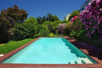     Di luar ruangan terdapat kolam renang dengan banyak pepohonan di sampingnya. (kredit foto: businessinsider)