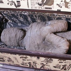 Mumi Misterius Ditemukan di Loteng Rumah Warga Jerman
