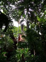 Rumah Penuh Misteri di Bangkok