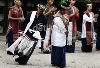     Tarian Sigale - gale ditampilkan untuk mengenang sang putra raja, Sigale - gale sendiri terbuat dari patung kayu, konon diukir menyerupai putera raja. Untuk melepaskan kerinduannya saudara perempuannya menari dengan sigale - gale.