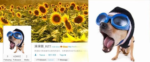 Gambar-gambar Unik di Avatar Weibo Tao EXO