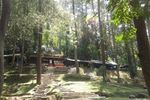 Weekend Segar di Taman Hutan Raya Juanda, Bandung