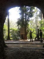 Weekend Segar di Taman Hutan Raya Juanda, Bandung