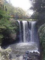 Weekend Segar di Taman Hutan Raya Juanda, Bandung