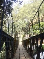 Weekend Segar di Taman Hutan Raya Juanda, Bandung