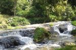 Weekend Segar di Taman Hutan Raya Juanda, Bandung