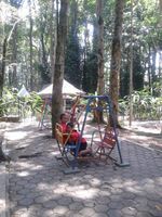 Weekend Segar di Taman Hutan Raya Juanda, Bandung