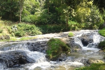 Weekend Segar di Taman Hutan Raya Juanda, Bandung