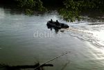 Lumba-lumba Nyasar ke Sungai di Langkat Sumut