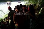 Lumba-lumba Nyasar ke Sungai di Langkat Sumut