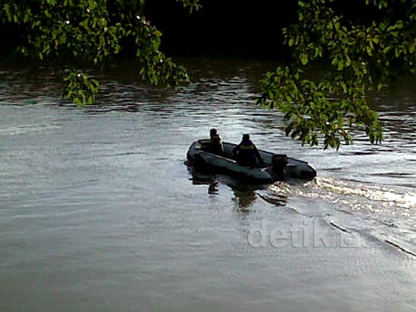 Lumba-lumba Nyasar ke Sungai di Langkat Sumut