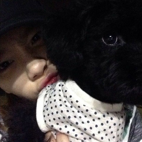 5 Hewan Peliharaan Eksis Milik Idola KPop