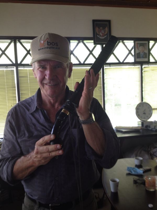 Menhut: Tak Ada Insiden Harrison Ford Naik Meja