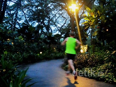 Menjelang Malam di Taman Kota Singapura