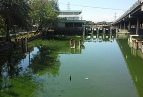 Surabaya Masuk 5 Kota Kumuh di Indonesia, Ini Jawaban Pemkot Surabaya