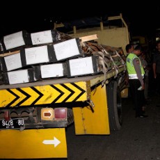 Wakapolri: Bripka Sukardi Ditembak Saat Kawal Truk Bermuatan Barang