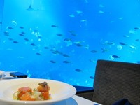 Ocean Restaurant berada di SEA Aquarium di Resorts World Sentosa, Singapura. Salah satu sisi restoran ini menghadap Open Ocean, sebuah akuarium raksasa dengan ketinggian mencapai lebih dari 30 meter dan lebar sekitar 8 meter (Afif/detikTravel)