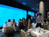 Dari dalam restoran, Anda bisa melihat sekitar 50 ribu ikan dari puluhan spesies yang berlalu-lalang. Bahkan, Anda juga bisa melihat ikan manta yang biasa ditemukan di lautan dengan kedalaman puluhan meter. Wow! (Afif/detikTravel)