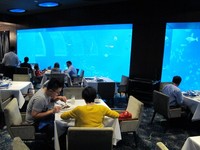 Ocean Restaurant buka setiap hari dari pukul 11.00 siang hingga 23.00 malam waktu setempat. Pemesanan terakhir adalah pukul 22.30 malam (Afif/detikTravel)