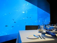 Ocean Restaurant pun bisa menjadi tempat romantis bagi Anda dan pasangan. Rasanya makan malam di sini, benar-benar seperti di bawah laut (Afif/detikTravel)