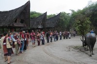 Tentu saja wisatawan tidak hanya bisa menonton. Ada Tari Bersama dimana semua hadirin diminta ikut menari tortor. Saya pun ikut menari. Seru! (Fitraya/detikTravel)