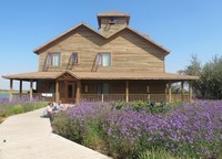 Guess House atau penginapan dari kayu juga tersedia untuk siapa saja yang ingin menginap (Putri/detikTravel)