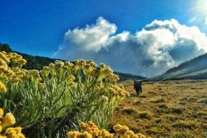 6 Gunung Untuk Pendaki Pemula