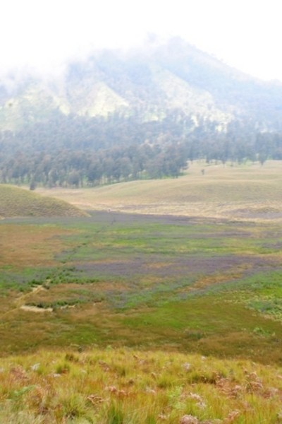 Oro-oro Ombo & 5 Lembah Gunung Tercantik di Indonesia