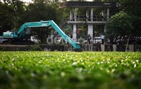 Eceng gondok itu tampak memenuhi hampir seluruh permukaan air.