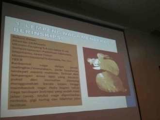  Sebelum Koleksi Emas Hilang, Museum Gajah Dipakai Pemotretan