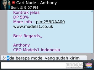 AA Cari 25 Model Bugil, Jual Nama Artis Agar Meyakinkan