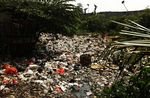 Kali Cipinang Dipenuhi Sampah