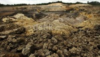 Lokasi tambang batubara PT Exploitasi Energi Indonesia Tbk (CNKO) seluas kurang lebih 175 ha.