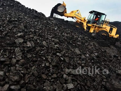 Aktivitas Pertambangan PT Exploitasi Energi Indonesia