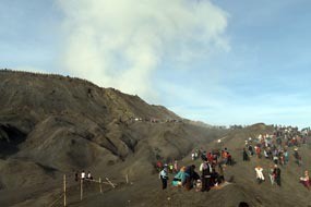 Pemkab Pasuruan Siapkan Wisata Kera di Gunung Bromo